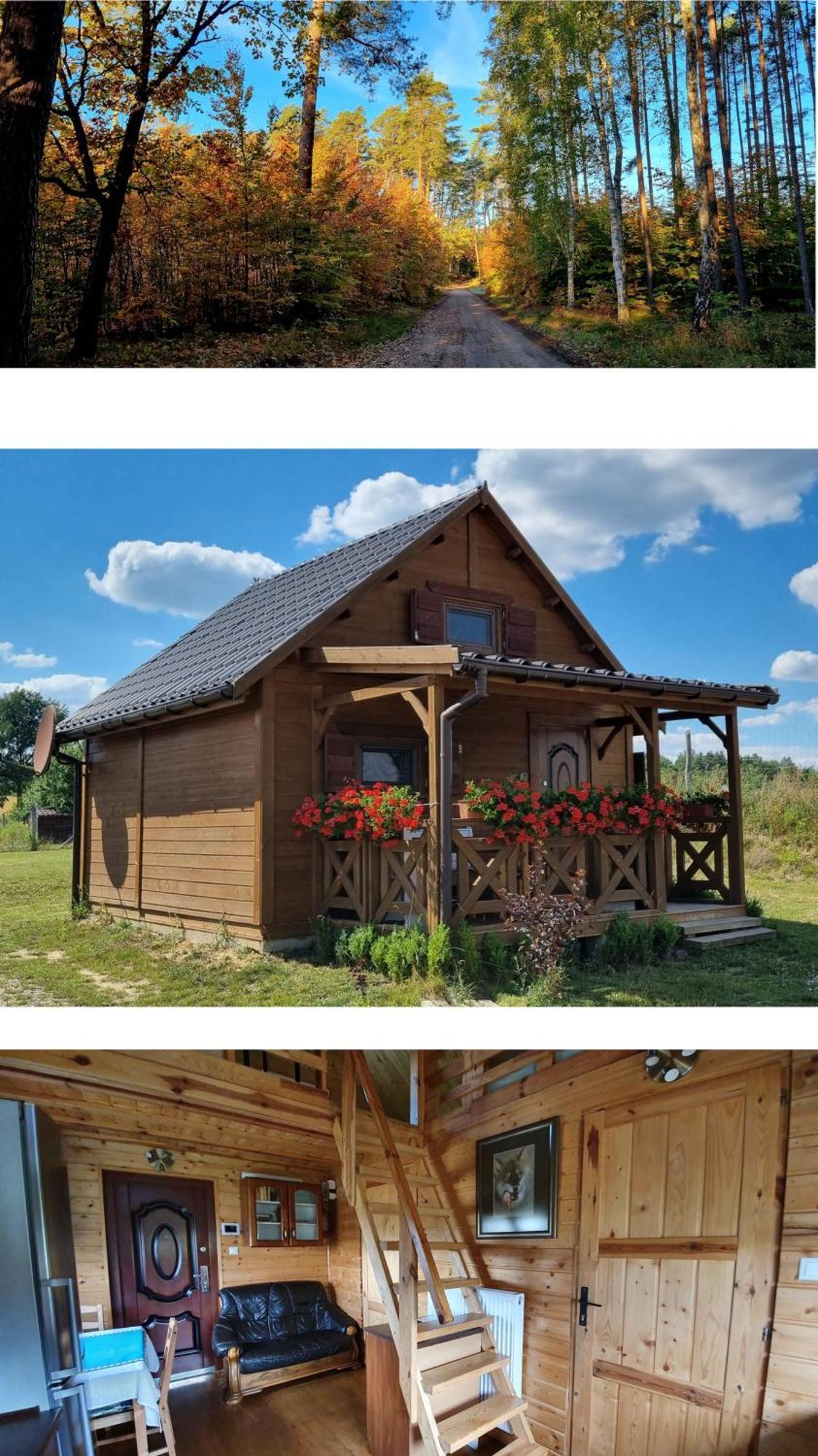 Domek Triftberg Chojna Exterior photo